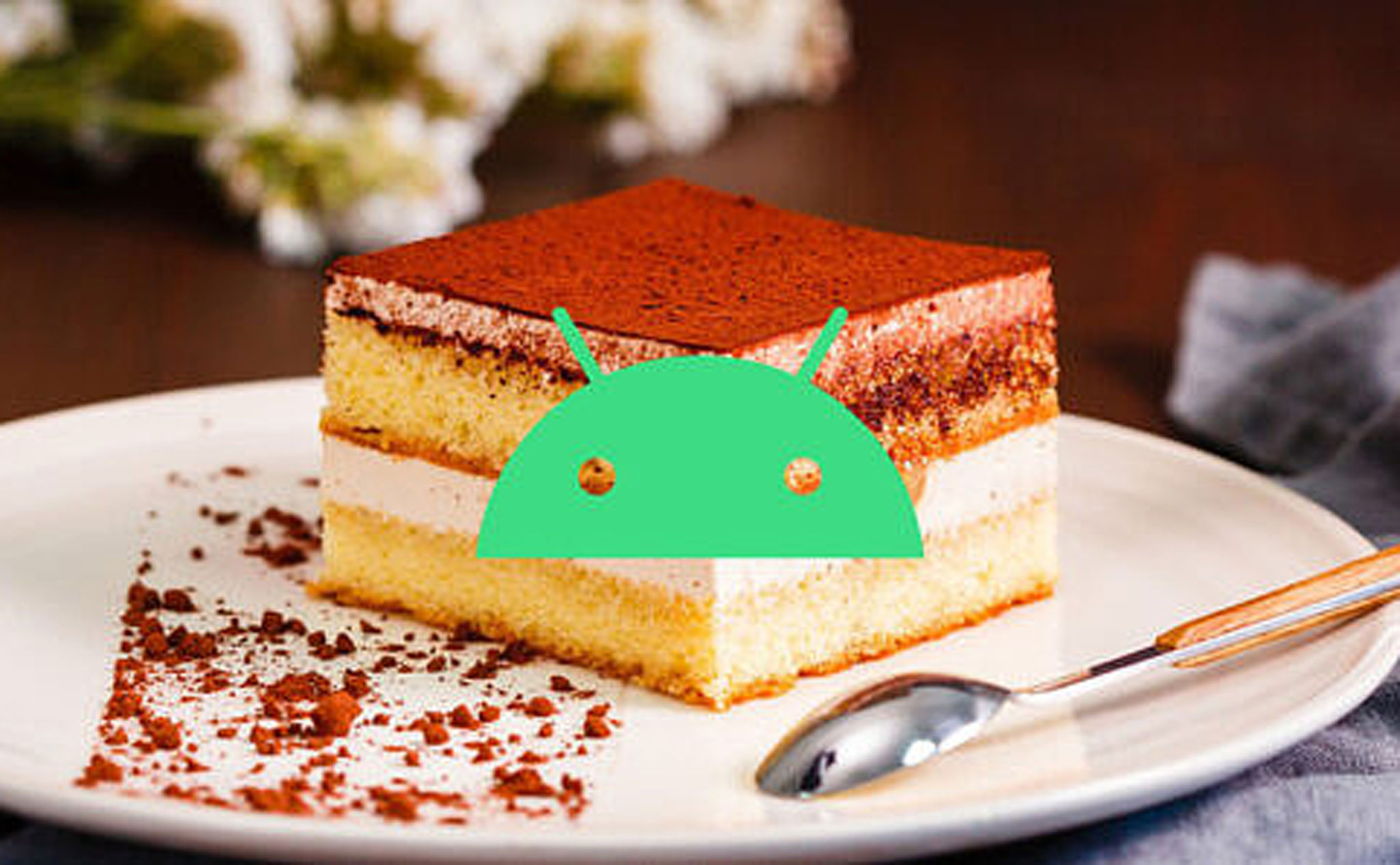 Android 13 tiramisu