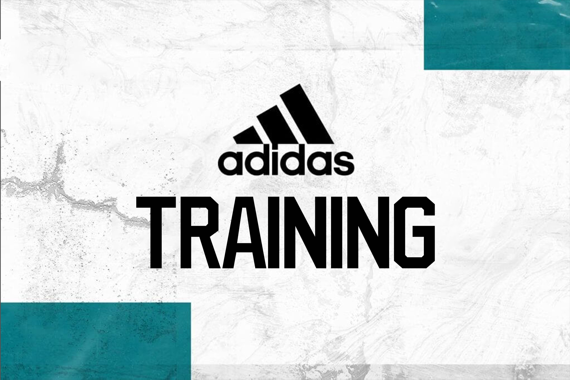 Адидас тренинг