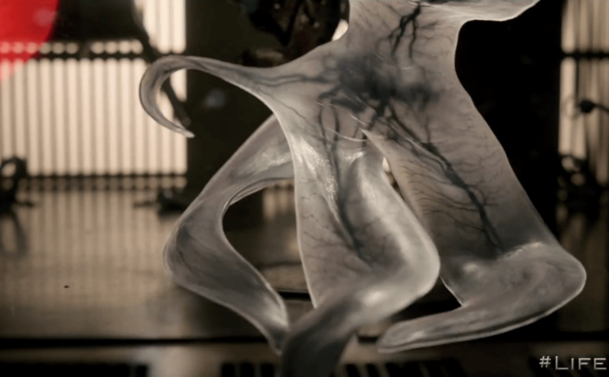 Живое кельвин. Живое кельвин. Живое» (даниэль эспиноса, 2017). Живое» (даниэль эспиноса, 2017). Живое кельвин.